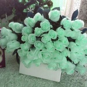 Meet your Posher, Kaitlyn